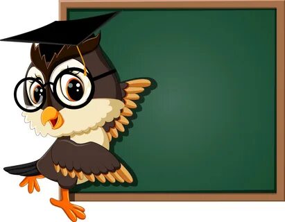 Неделя истории и обществознания.